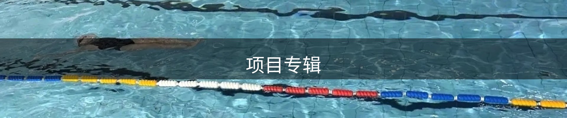 项目专辑